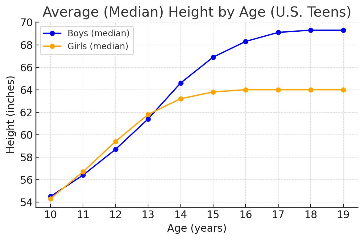 Average Height of Teenagers by Age in the USA